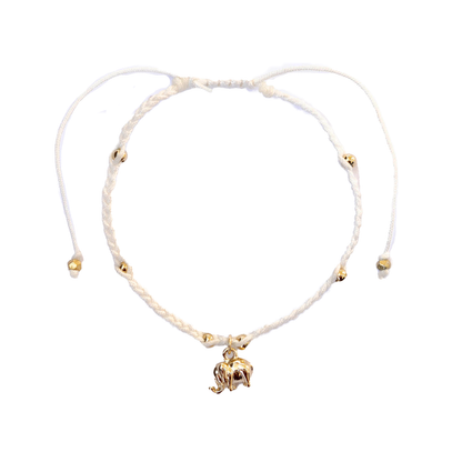 Wise Guy Braided Charm Bracelet