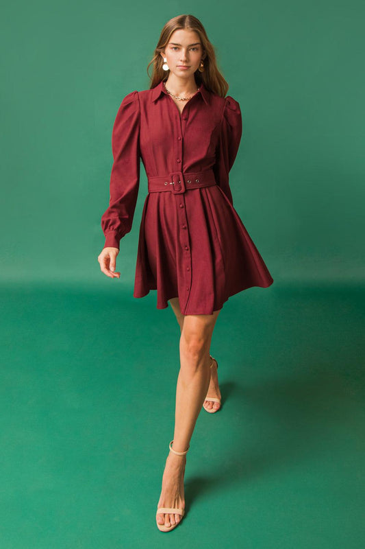 Wrapped Up In Love Mini Dress With Puff Sleeves Belted Silhouette