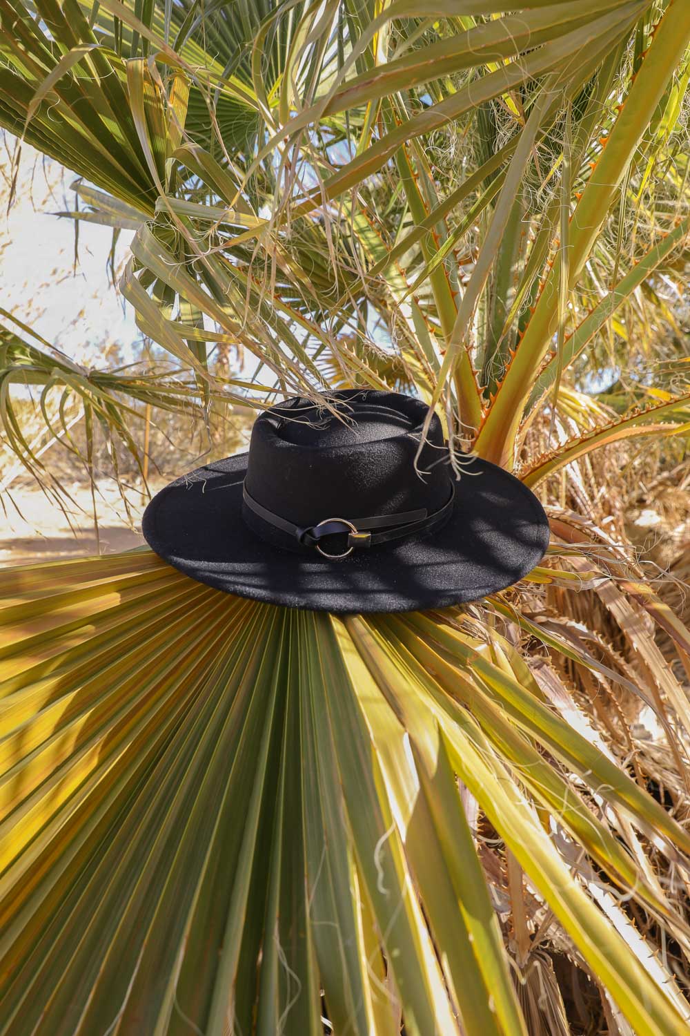 Hats - Gold Ring Buckle Bolero Hat