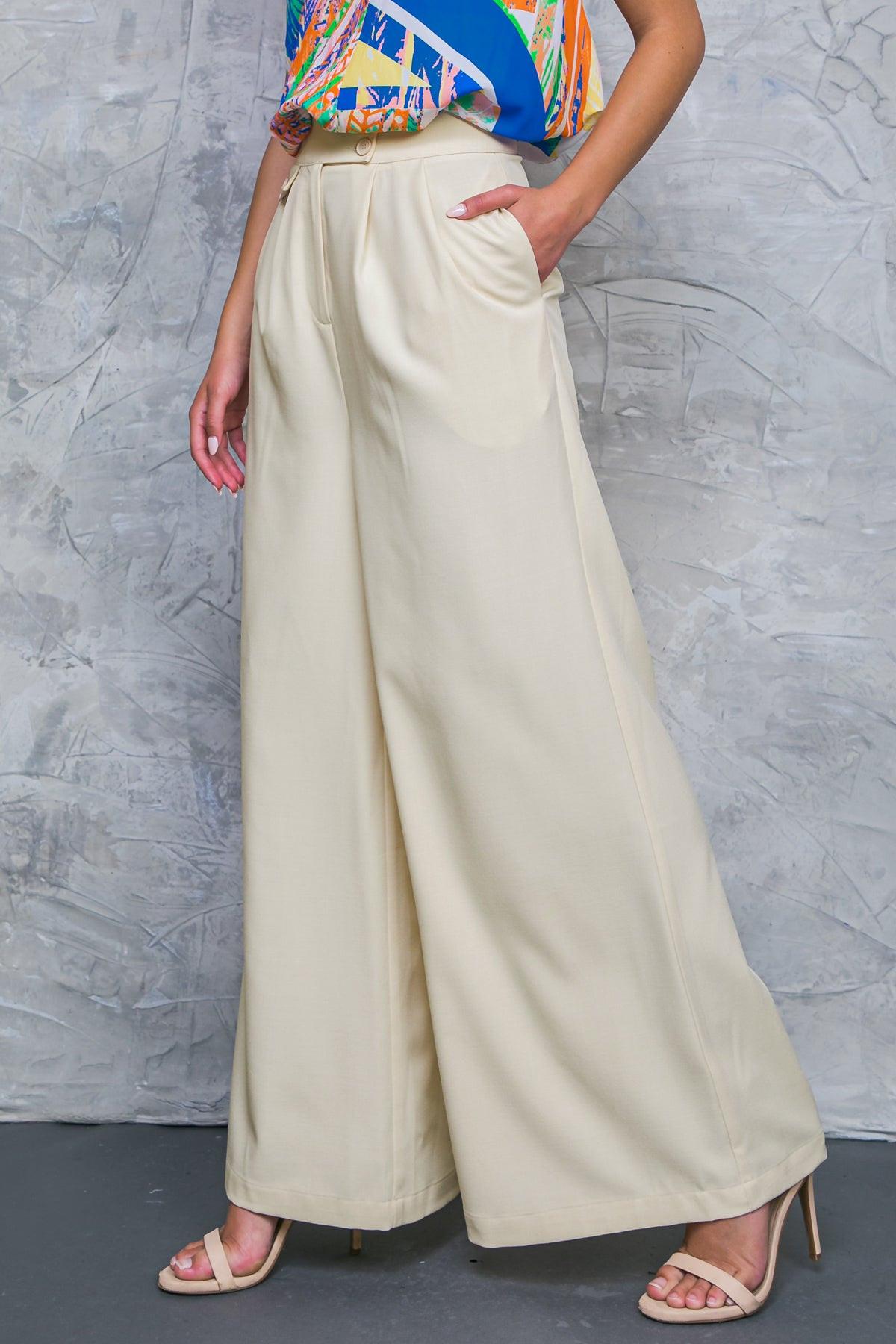 Delicate Feelings Woven Pants With Front Closure Front Pleats And Wide Leg